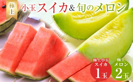 【先行予約】極上小玉スイカと旬のメロン2玉セット ※6月上旬～7月下旬頃に順次発送予定【西瓜 スイカ 小玉西瓜 メロン セット商品  果物 フルーツ くだもの 鳥取県 北栄町 おすすめ 人気 送料無料】