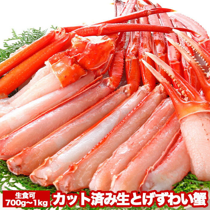 【ふるさと納税】【12月21日決済確定分まで年内配送】 カット済み生とげずわい蟹 700 ~ 1kg ズワイガニ ズワイ ずわい ズワイ蟹 ずわいがに かに カニ 蟹 お取り寄せ グルメ 海鮮 刺身 かにしゃぶ カニ鍋 北海道 根室市 ふるさと納税 B-47007