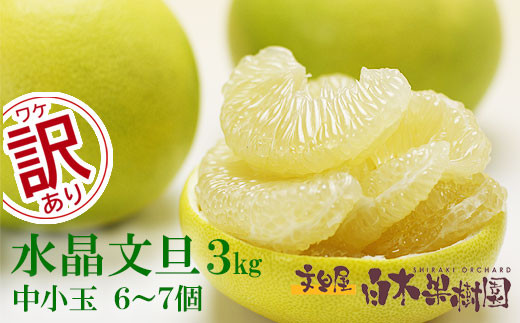 【先行予約】水晶文旦 ご家庭用お得箱 約３kg Lサイズ～２Ｌサイズ （６～７個入り）〈2026年10月上旬～11月上旬頃発送〉訳あり ワケあり 訳 傷 キズ へこみ 文旦 ブンタン ぶんたん 水晶文旦 果物 柑橘 フルーツ 家庭用 ご自宅用【白木果樹園】 [BQAI021]