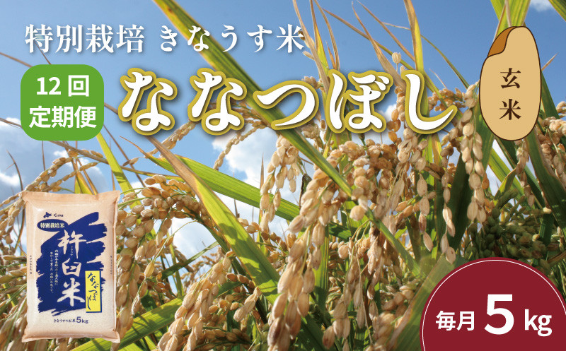 
            【玄米12ヶ月定期便】特別栽培「きなうす米」ななつぼし5kg×12回　P015
          