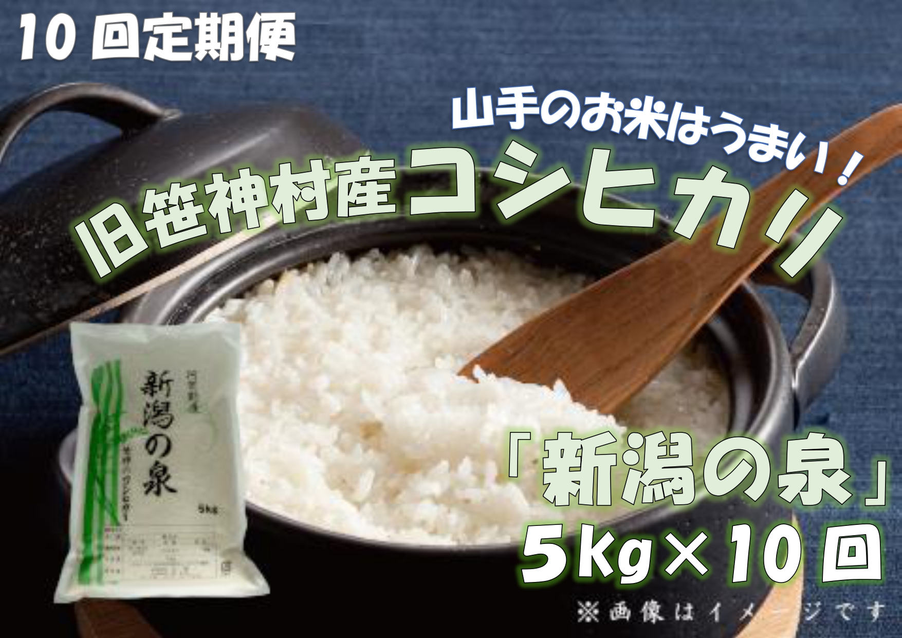 【令和8年産新米予約】【10ヶ月定期便】 コシヒカリ 「新潟の泉」 5kg×10回 合計50kg 旧笹神村産 上泉 農家直送 コメドック 金賞 0月3日頃より順次発送予定 1Q17101