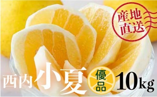 【先行予約】＜優品＞西内小夏 10kg　N55