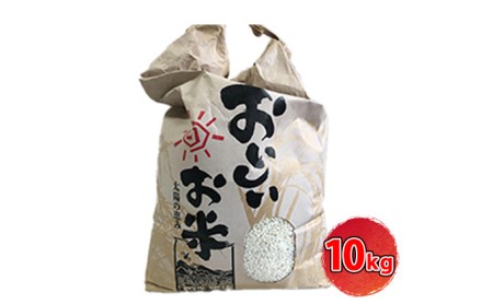 きぬひかり白米 兵庫県産 令和7年産きぬひかり【10kg】