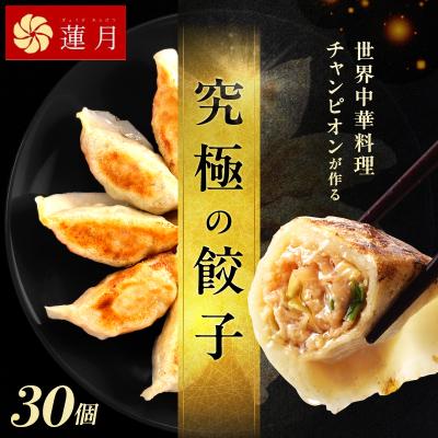 ふるさと納税 荒川区 【餃子30個】蓮月特製手作り餃子 (冷凍) 特製ラー油付き【034-003】