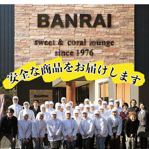 【定期便・全6回】薩摩おいも棒セット(計9kg・250g×6袋×6回) さつまいも さつま芋 大学芋 国産 九州産 鹿児島県産 冷凍 小分け スイーツ お菓子 アイス ランキング 人気 定期便 頒布会