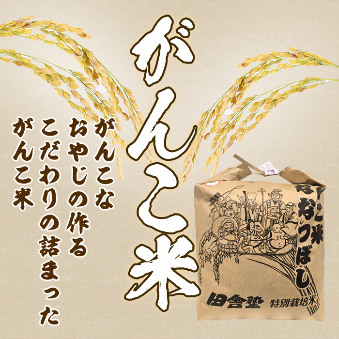 ＜数量限定・令和7年産＞田舎塾特別栽培米「がんこ米ななつぼし」(10kg) 米 お米 白米 北海道産 北海道米 ななつぼし ごはん おこめ コメ 単一原料米 令和7年産 【田舎塾】【B7162】