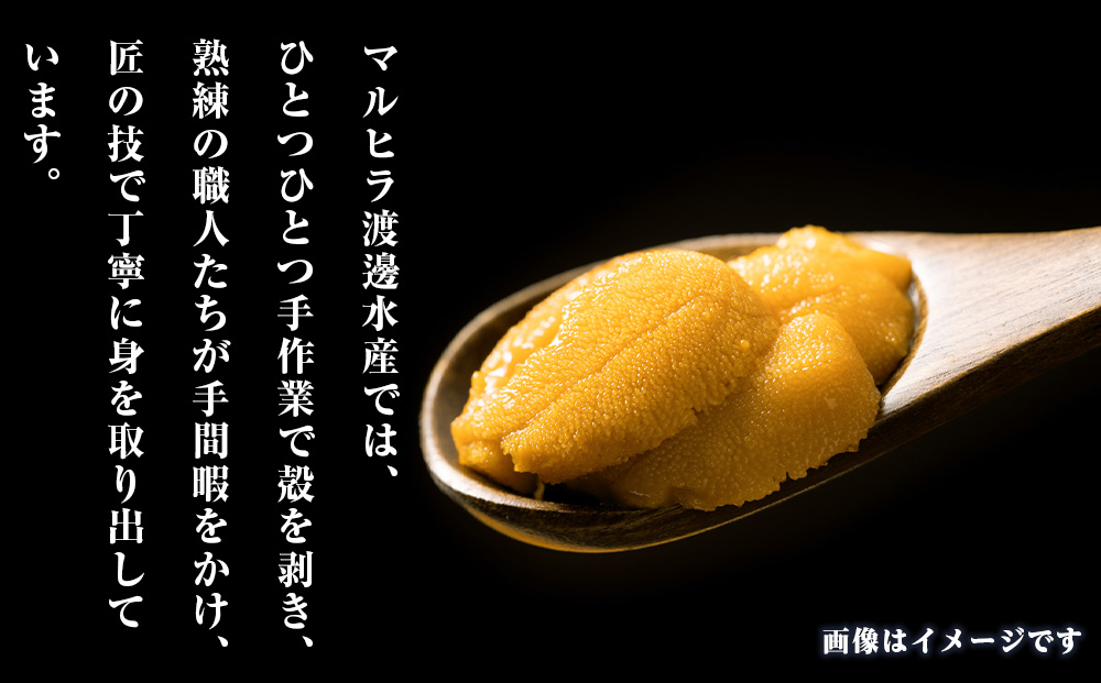 2026年発送 先行受付 ウニ本来の味が楽しめる【白老産】塩水ムラサキウニ 100g×1パック BT007