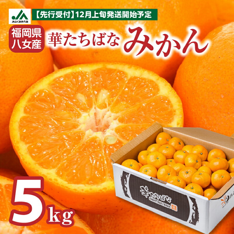 【ふるさと納税】【先行予約 2025年12月発送開始】華たちばなみかん 約5kg 蜜柑 ミカン 秀品 福岡 果物 フルーツ 先行予約 家庭用 自宅用 送料無料 数量限定 期間限定