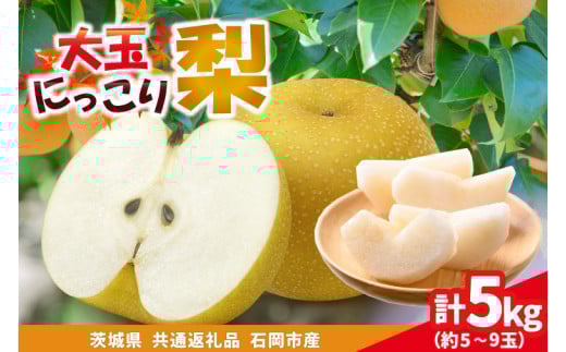 大玉にっこり梨　5kg(5～9玉)県内共通返礼品石岡市産 (BR174)