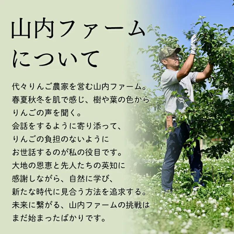 りんご 贈答用 サンふじ/ぐんま名月 詰め合わせ約3㎏ 青森県平川市産 [hi-0038-037]