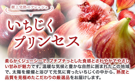いちじくプリンセス ロハス農園《8月上旬-11月末の間で出荷》和歌山県 紀の川市 無花果 イチジク 【配送不可地域あり】