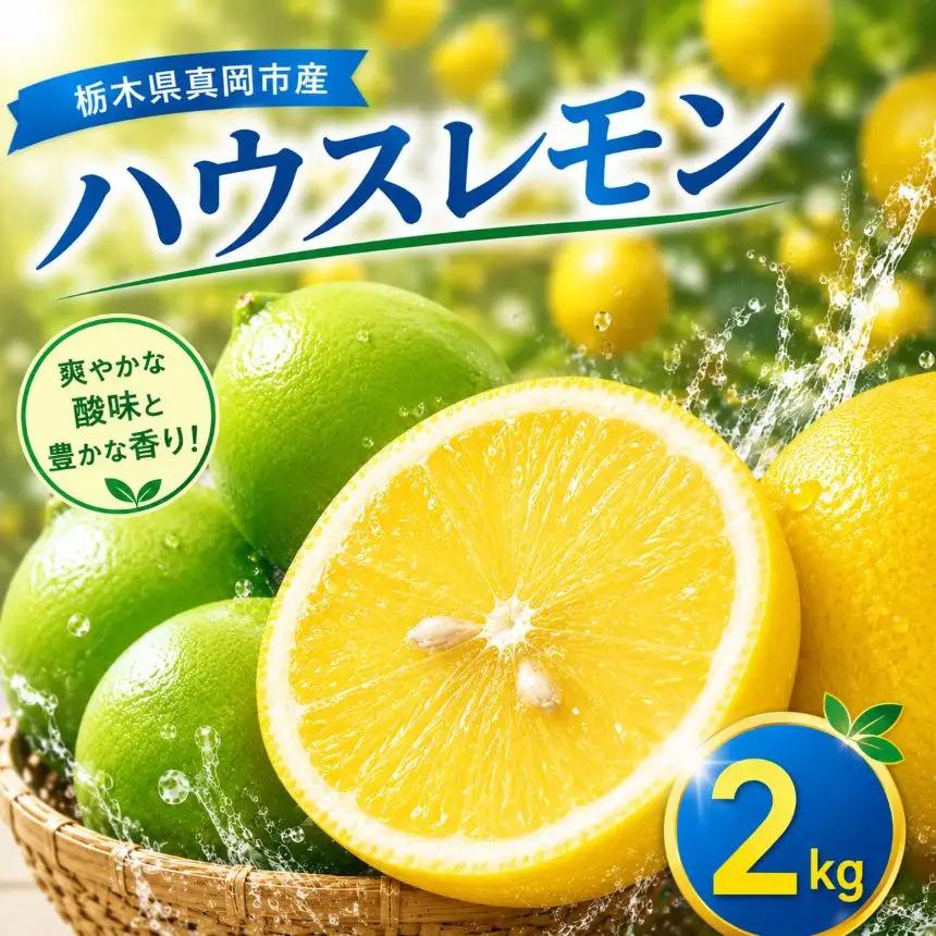 【先行予約】【2kg】真岡市産 ハウス レモン
