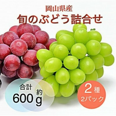 【ふるさと納税】岡山県産 旬のぶどう詰合せ 2種2パックセット【配送不可地域：離島】【1575480】
