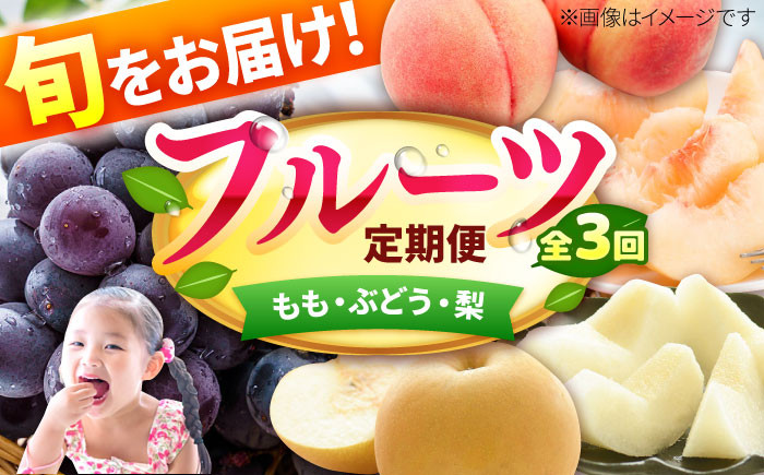 
            【★先行予約★　2025年6月発送開始】【3回定期便】フルーツ パート4（もも/黒ぶどう/梨） 桃 葡萄 なし くだもの 果汁 冷蔵 甘い デザート 夏果物 食べ比べ 新鮮 旬 広川町 / JAふくおか八女農産物直売所どろや [AFAB020]
          