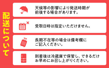 【先行予約・6月以降順次発送】日田西瓜（羅皇ザ・スウィート）  1玉 7~9kg 日田市 / JAおおいた [AREW002]