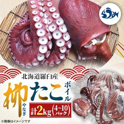 ふるさと納税 羅臼町 羅臼産 柳だこボイル 2kg(4〜10パック)