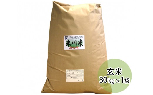 
No.027 米川こしひかり　玄米　30kg ／ お米 コシヒカリ 山口県 希少品 特産品
