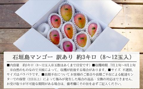【先行受付】訳あり 沖縄マンゴー（石垣島産）3kg ときわマンゴー農園【2024年7月～8月中旬に順次発送予定】TK-3-1