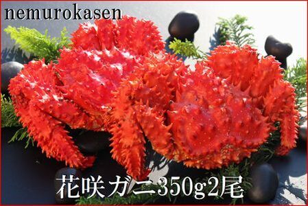 ＜12月22日決済分まで年内配送＞【北海道根室産】花咲ガニ350g×2尾 B-57028