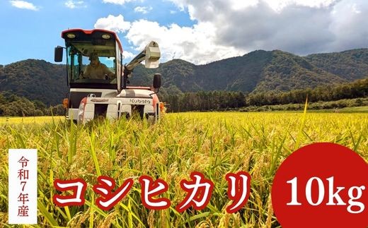 【新米】【在庫限定】令和7年産米 コシヒカリ 10kg （山崎農園）数量限定 新米 お米 米 こめ コメ 白米 きぬむすめ ブランド米 鳥取県 倉吉市