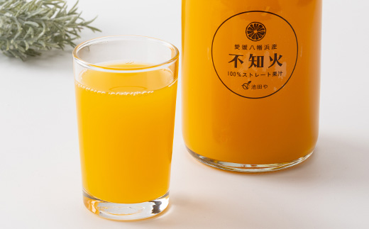 不知火ジュース(ストレート)720ml×12本【H56-80】【1668633】