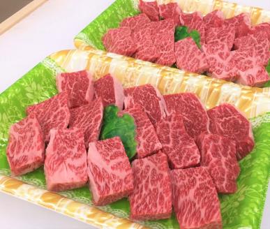 zn188土佐あかうし肩ロース焼肉用（約530ｇ）