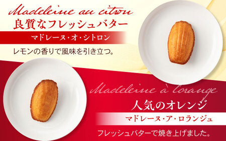 焼き菓子 詰め合わせ 8個入 多治見市 / シェ・シバタ スイーツ ギフト マドレーヌ[TDH008]