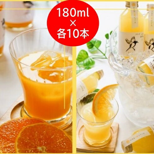 【ふるさと納税】 きみの 蜜柑＆八朔ジュース 180mL×各10本 / 果汁 ジュース オレンジジュース ドリンク セット 有機 無添加 100%
