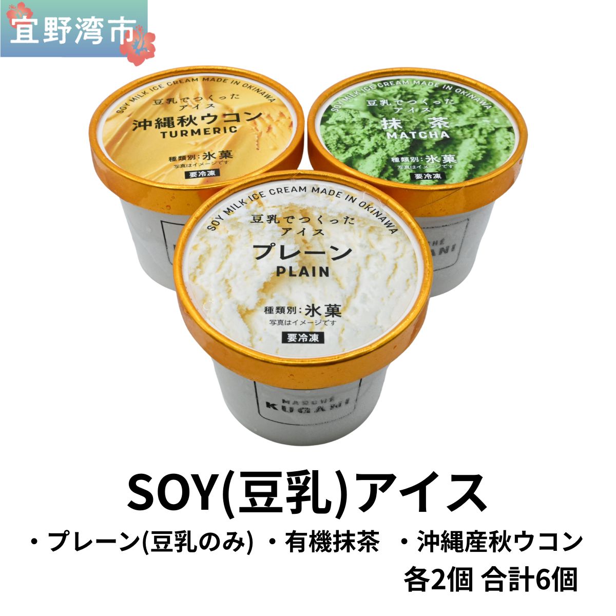 【ふるさと納税】SOY(豆乳)アイス 6個セット (プレーン(豆乳のみ)・有機抹茶・沖縄産秋ウコン) 3種類 各2個 | 沖縄ウコン堂 ソイアイス アイスクリーム | 国産 沖縄産 | ヘルシー 低カロリー デザート スイーツ | ヴィーガン 植物性100% | 宜野湾市 送料無料