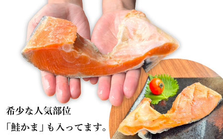 訳あり 銀鮭 2kg 切り身
