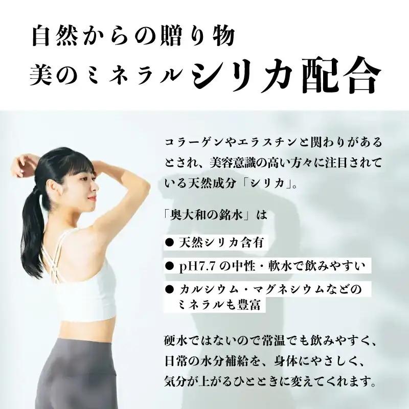 【ミネラルウォーター】 （定期便6ヶ月） 奥大和の銘水 500ml×48本（24本×2箱） 水 長期保存可能 銘水 水 Q-13 ミネラルウォーター