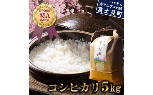 【通常便】 信州 長野県産 特A こしひかり 5kg 田端さくら米 コシヒカリ 新米 米 5kg 令和7年産