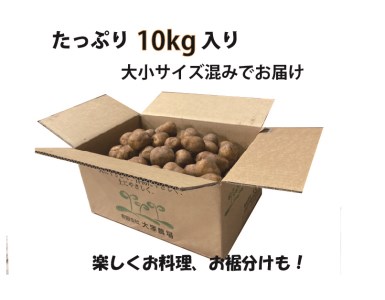 [1.47-209]　完全熟成！インカのめざめ10kg