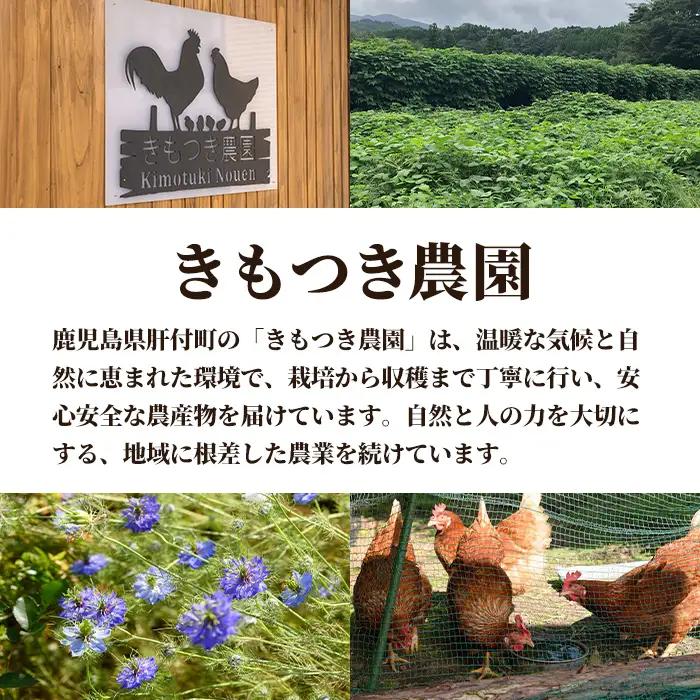 【P98001】焙煎ムクナ豆パウダー(粉末) 鹿児島 国産 ムクナ豆 八升豆 粉末 自然栽培 健康食品 豆 パウダー 栄養 アミノ酸 【きもつき農園】