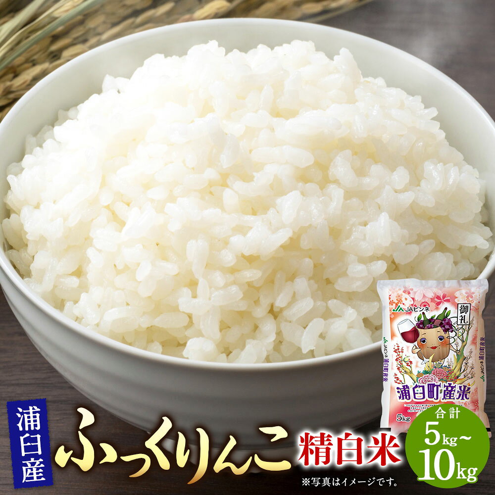 【ふるさと納税】＜選べる内容量＞〈令和8年産〉 浦臼産 ふっくりんこ 精白米 5kg×1袋 / 計10kg（5kg×2袋） こめ おこめ お米 米 精米 単一原料米 コメ ご飯 ごはん 白米 北海道 浦臼町 送料無料 【2026年11月上旬より順次発送】