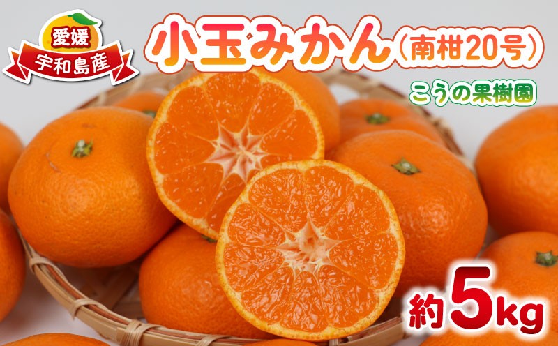 
                  小玉みかん 南柑20号 みかん 5kg 2S~S サイズ こうの果樹園 温州みかん 温州 愛媛みかん 愛媛蜜柑 愛媛ミカン うんしゅう みかん ミカン 蜜柑 mikan 果物 フルーツ 柑橘 甘い 甘味 蜜柑 産地直送 農家直送 数量限定 国産 愛媛 宇和島 B010-182003
                