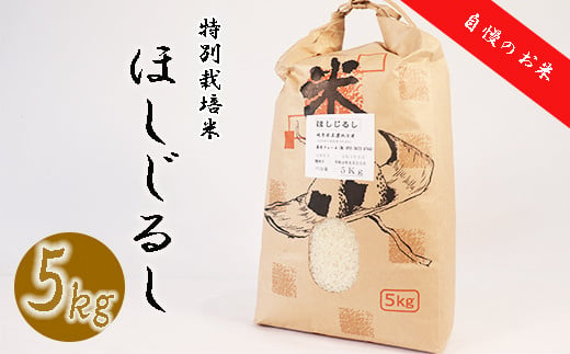 ≪令和6年産≫ 新米 垂井町産 ほしじるし 5kg