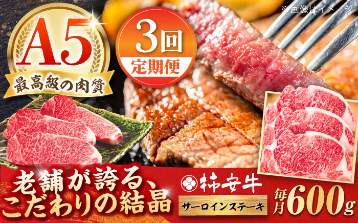 
            【3回定期便】最高級A5等級 三重県産 黒毛和牛 柿安牛 サーロインステーキ 600g / 国産牛 ブランド牛 牛肉 冷蔵 / 亀山市 / 柿安本店 [AMBW024]
          