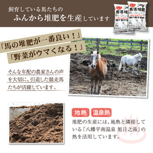 八幡平マッシュルーム入りソーセージ ／ ジオファーム きのこ BBQ おつまみ ウインナー