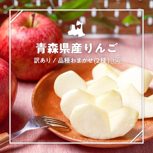 【2025年10月下旬発送】 【訳あり】旬の美味しいりんご 約15kg 青森産 【おまかせ2品種】