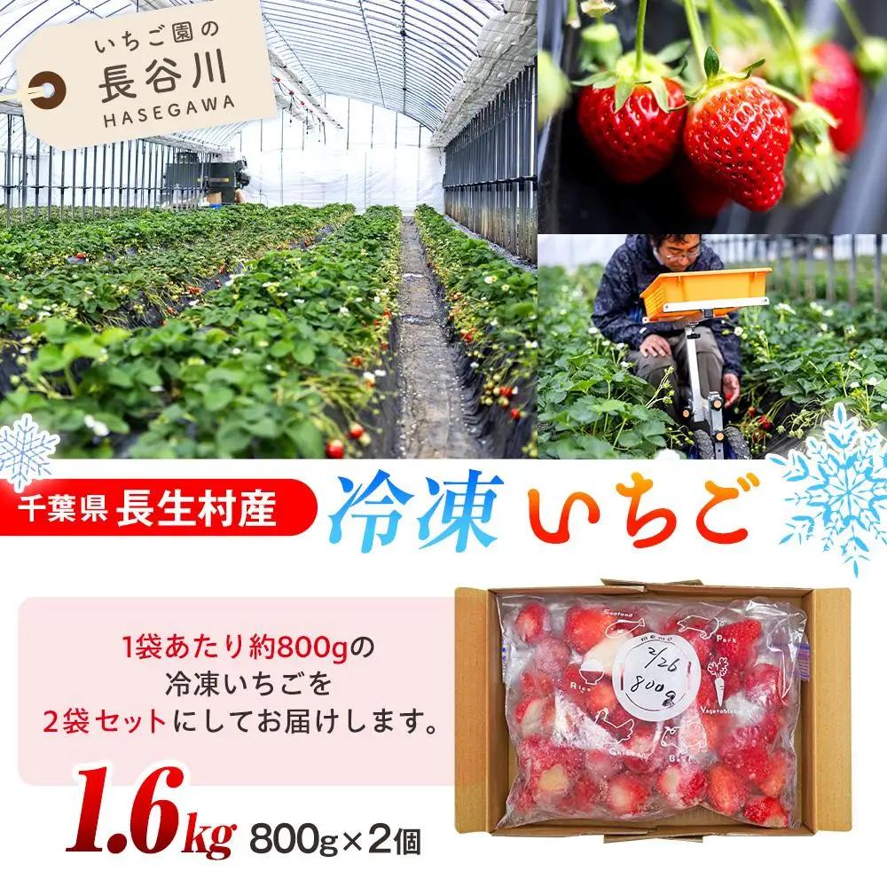 AK00-003 冷凍いちご 2袋セット