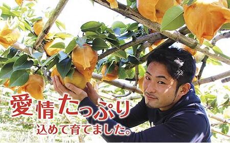 《先行予約》いわき市産梨　豊水3kg（約6～8個）