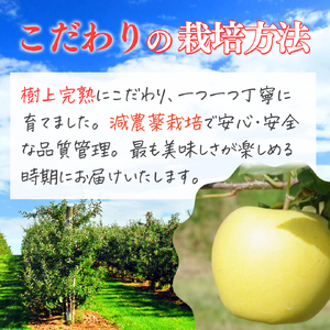 【2026年産】樹上熟成　シナノゴールド 3kg 