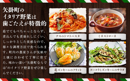 旬のイタリア野菜セット 5～7種《11月下旬-3月中旬頃出荷》