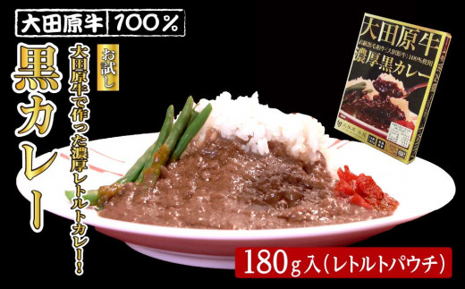 〈お試し〉大田原牛で作った濃厚レトルトカレー！ 大田原牛 100％黒カレー 1パック | レトルト カレー 和牛  牛肉 ビーフカレー 高級