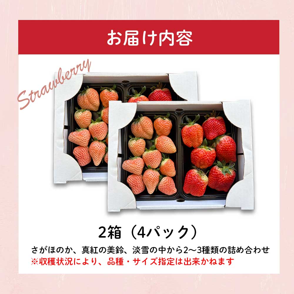 ★予約受付★【2月～4月 順次配送】玄海町産いろどりいちご詰め合わせ（家庭用・訳あり）
