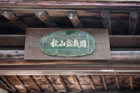 ふるさと納税限定 園主 秋山実と選ぶ 盆栽購入チケット 60,000円分 / 秋山園 / 山梨県 韮崎市