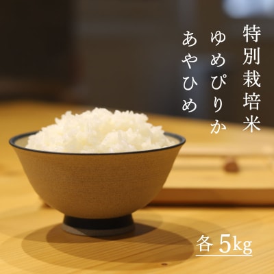 特別栽培米食べ比べ10kg【T-008】