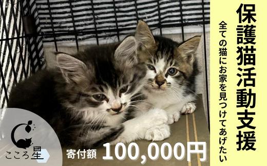 
【お礼の品なし】保護猫活動支援〜野良猫から地域で見守るさくら猫に〜 寄付額100,000円
