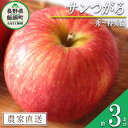 【ふるさと納税】 りんご サンつがる 秀 〜 特秀 3kg マルハ農園 沖縄県への配送不可 令和7年度収穫分 エコファーマー認定 長野県 飯綱町 〔 信州 果物 フルーツ リンゴ 林檎 長野 12000円 予約 農家直送 〕発送時期：2025年9月上旬〜2025年9月下旬